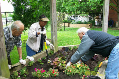Senior Green Thumbs: A Guide to Gardening Gracefully